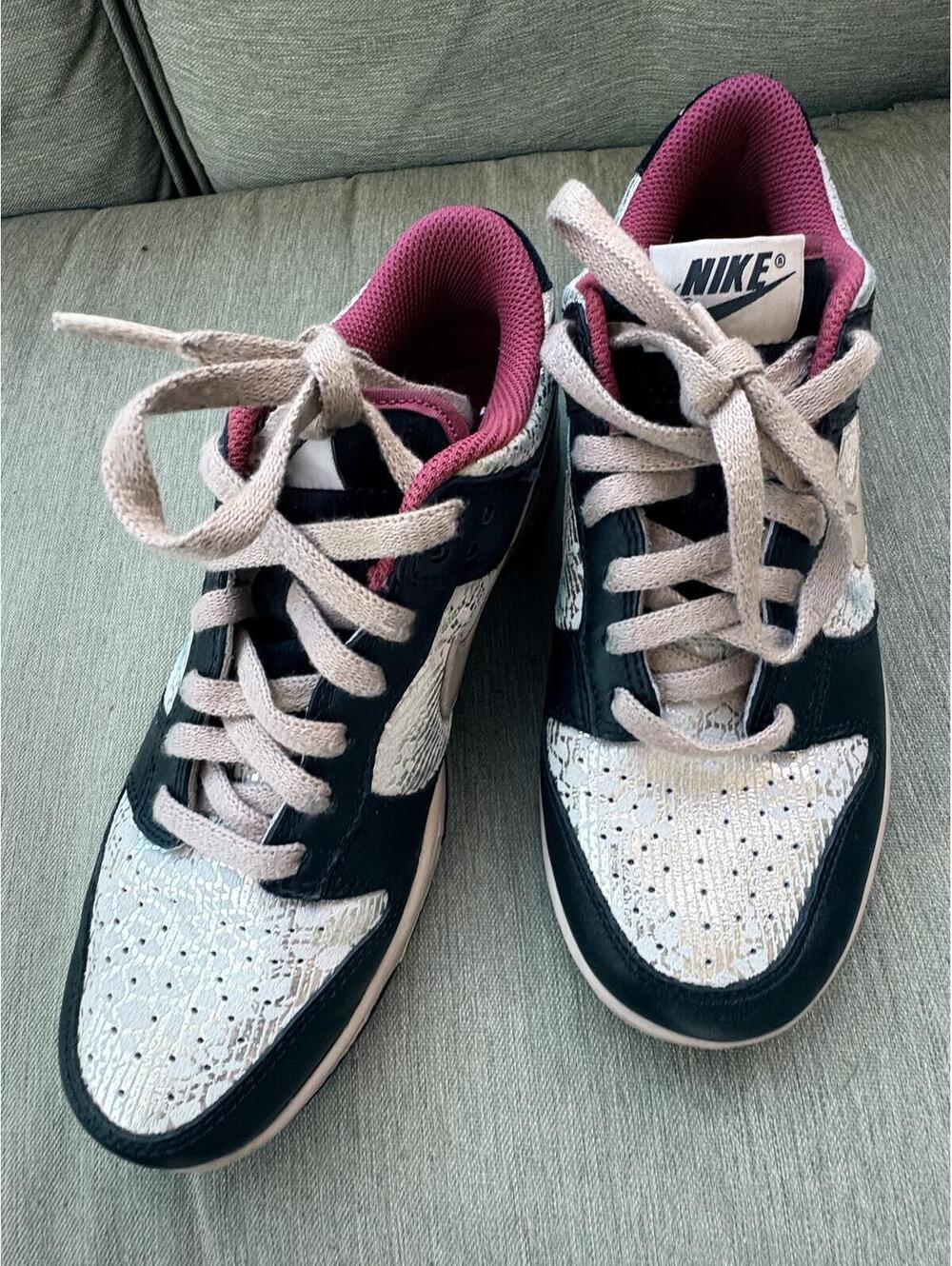Nike Dunk Lows Special Edition
